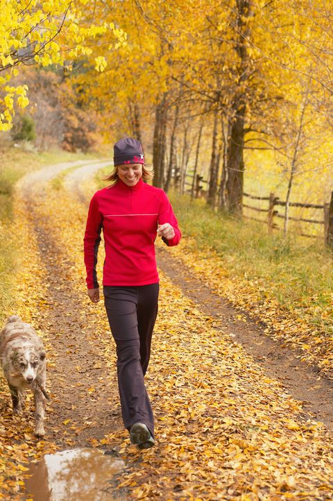 woman walking with dog on a forest path