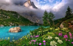 Mountain, lake, colorful flowers in a field